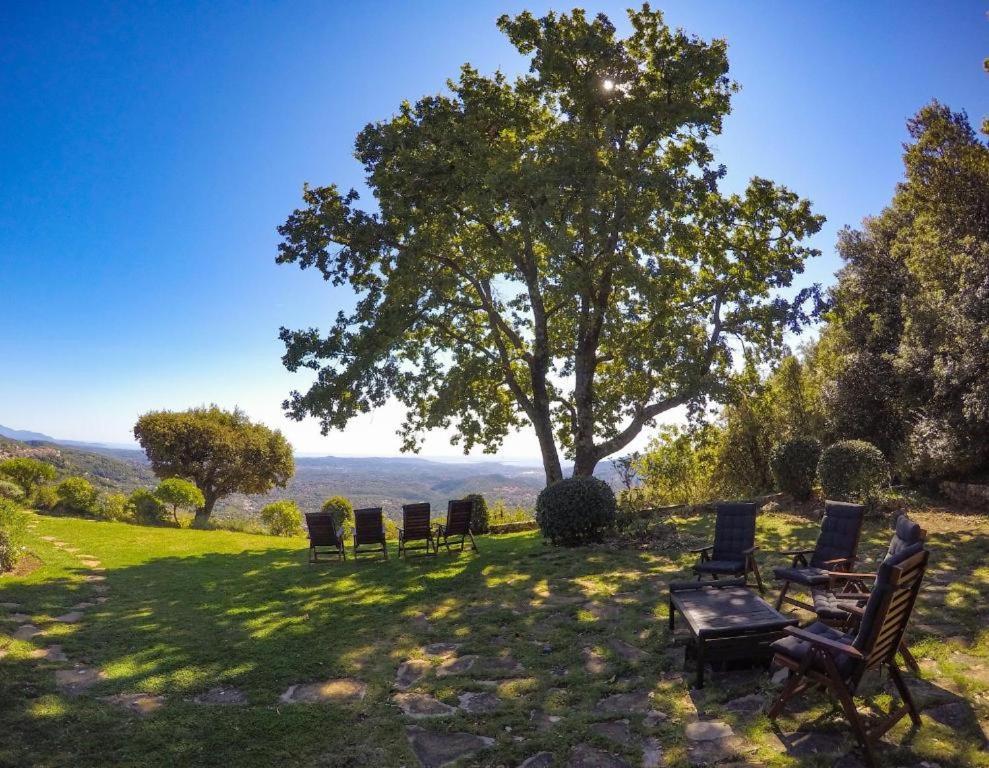 Domaine Du Bois D'Amont Apartment Cabris Bagian luar foto